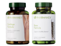 Huesos y Articulaciones 